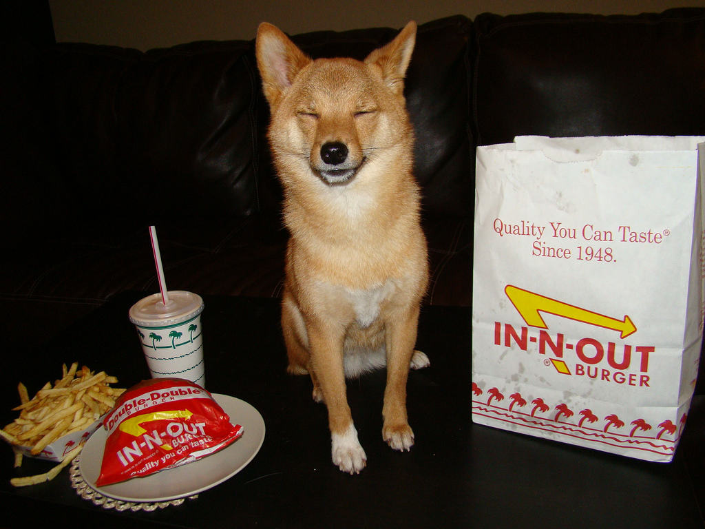Low Sodium Dog Food to offset french fries