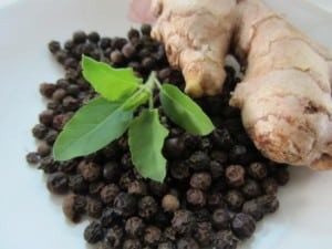 Ayurvedic Herbal Alternative