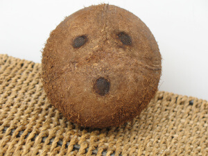 Coconut face