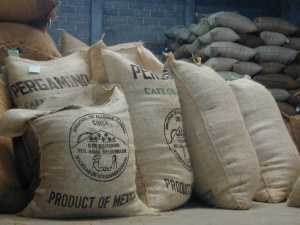 coffee (bags of coffee beans for Mexico coffee brands)