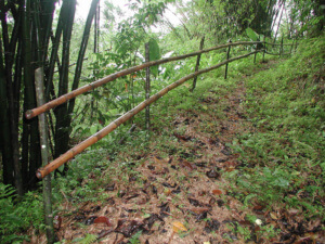 a typical trail scene, st. thomas side