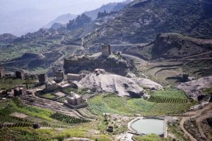 Agriculture, Haraz Mtns (Yemen Coffee Beans being grown)