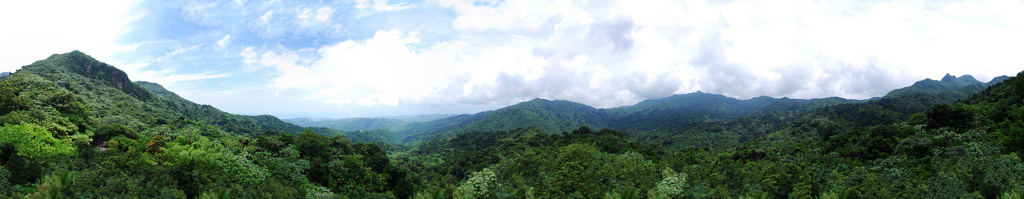 Puerto Rico Rainforest-360-Pano-8k