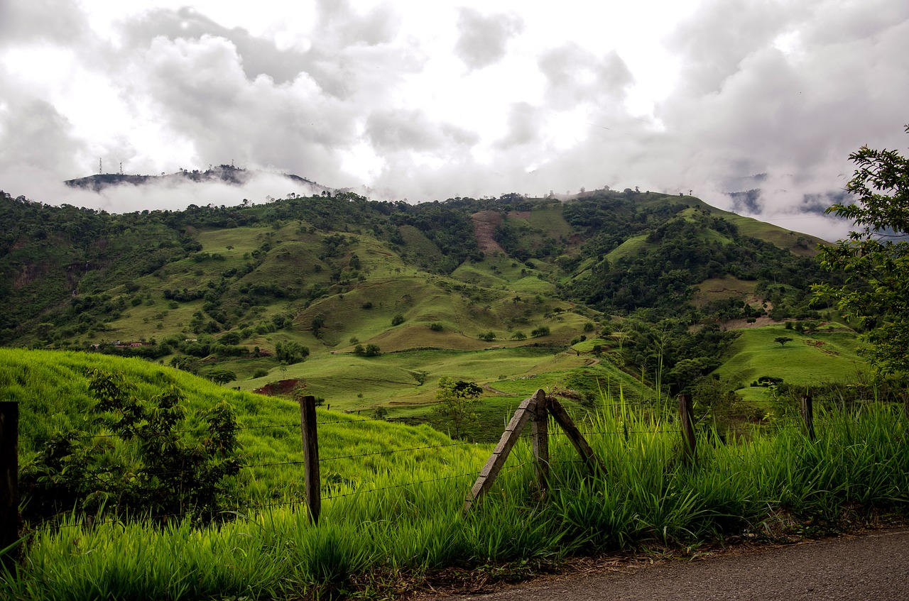 Colombia Coffee Zone Mountains